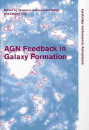 Copertina  AGN feedback in galaxy formation